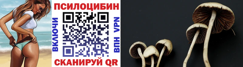 маркетплейс телеграм  Пролетарск  Галлюциногенные грибы MAGIC MUSHROOMS 